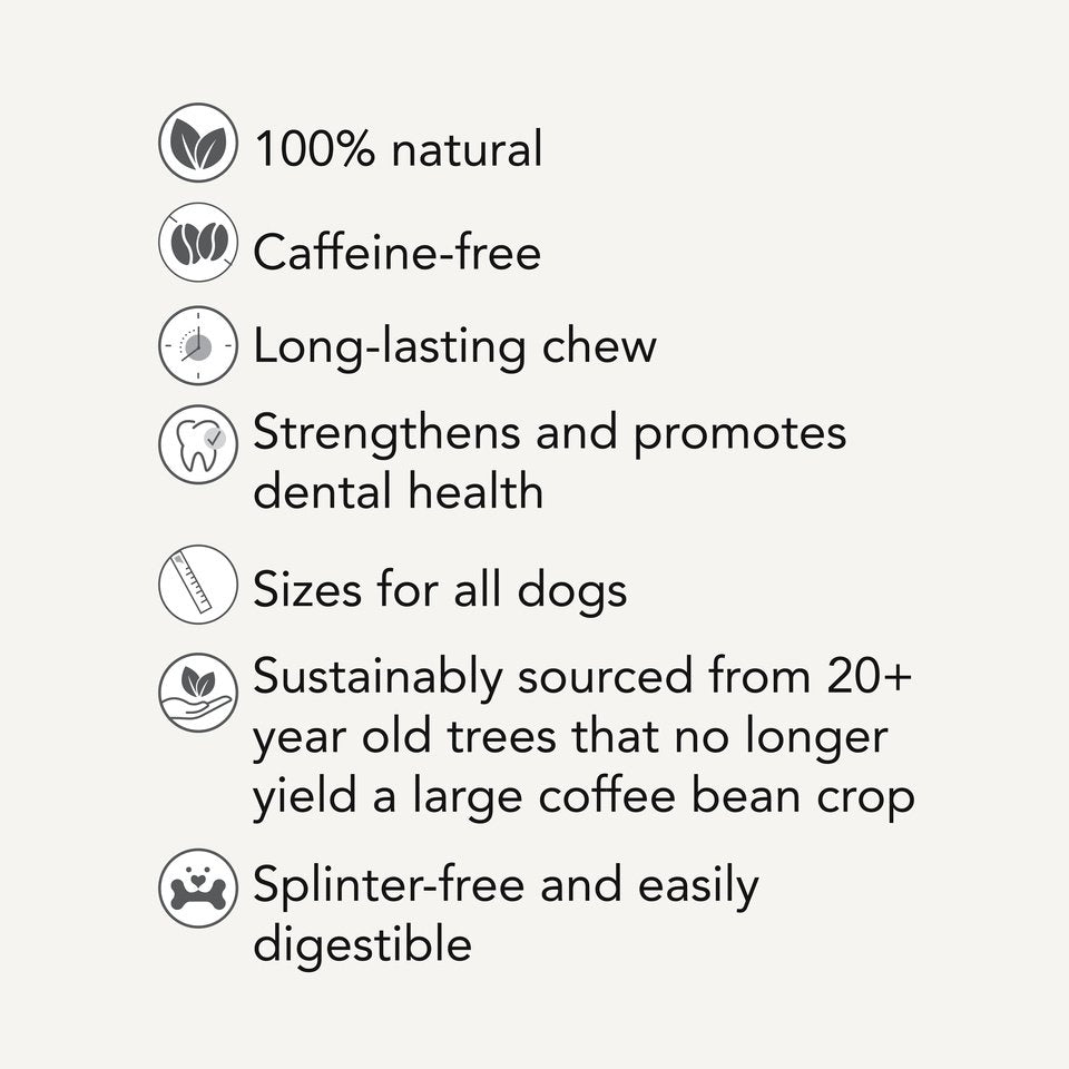 Dan & Sam – Natural Coffee Wood Chew