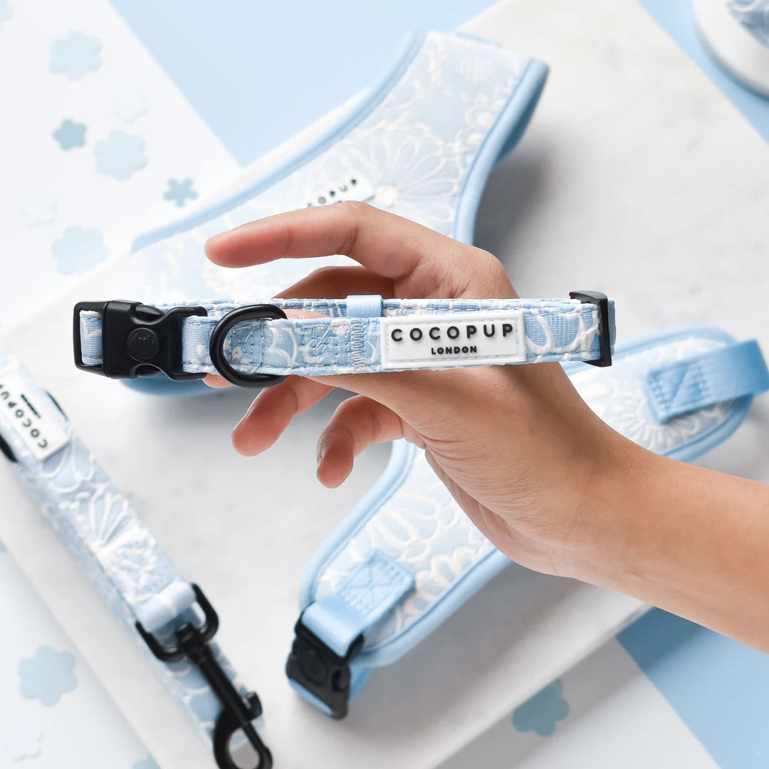Cocopup London – LUXE Bundle X-Small – Baby Blue Flower