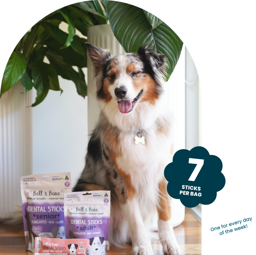 Bell & Bone Dog Dental Sticks Chicken Mint & Seaweed