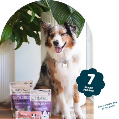 Bell & Bone Dog Dental Sticks Chicken Mint & Seaweed