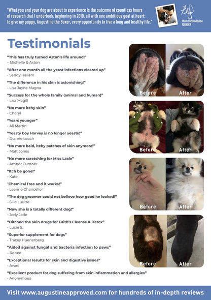 Augustine Approved Faith'S Cleanse & Detox