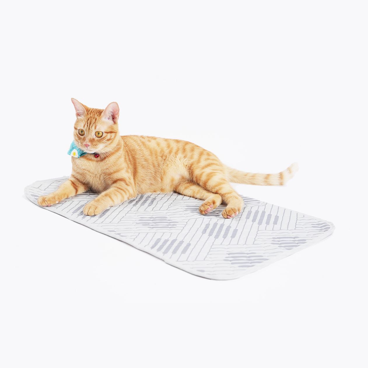 Ibiyaya EcoPaws Reusable Pet Underpad (M)- Nordic Fusion
