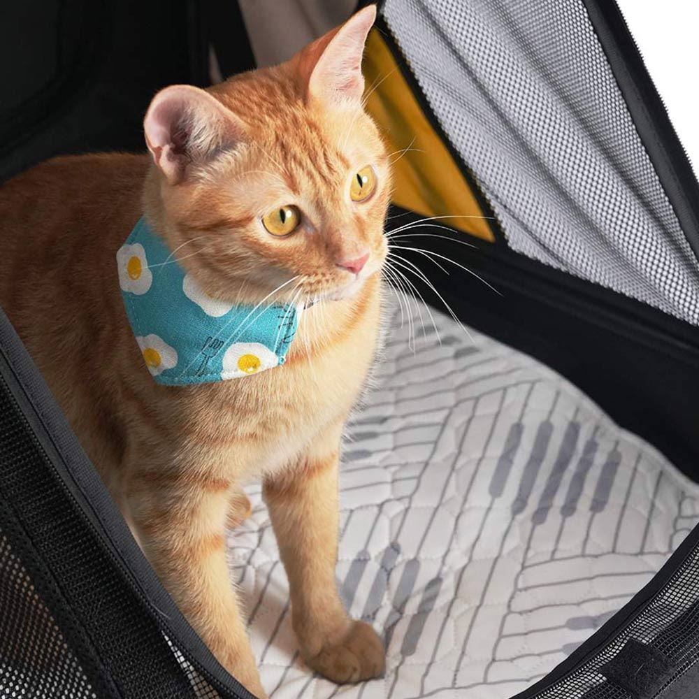 Ibiyaya EcoPaws Reusable Pet Underpad (M)- Nordic Fusion