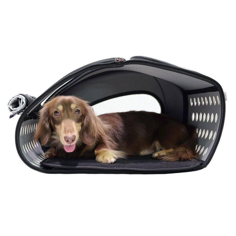 5-In-1 Combo Eva Pet Carrier/Stroller - by Ibiyaya