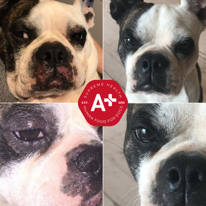 Augustine Approved Augustine'S Superbath 60G