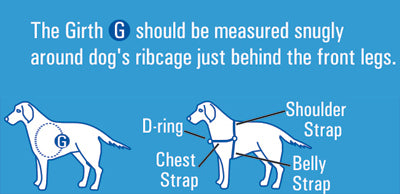 Beau Pets – Gentle Leader Harness