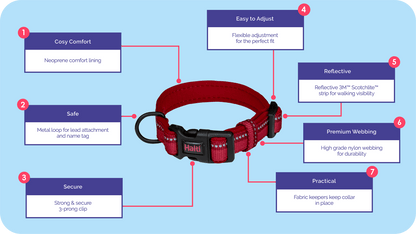 Company of Animals – Halti – Comfort Collar