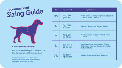 Company of Animals – Halti – Comfy Harness