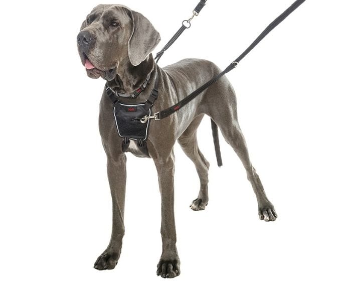 Company of Animals – Halti – No Pull Harness