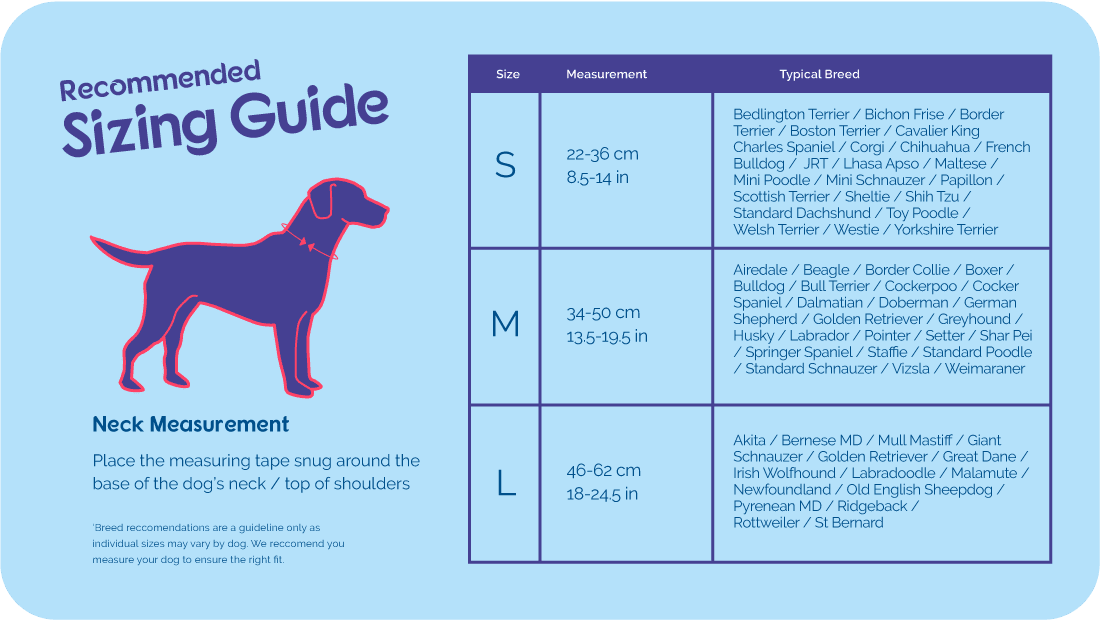 Company of Animals – Halti – No Pull Harness
