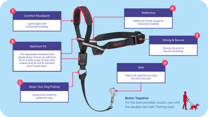 Company of Animals – Halti – Optifit Headcollar