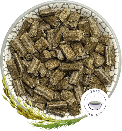 Bunny Nature – RabbitDream – Young 1.5kg