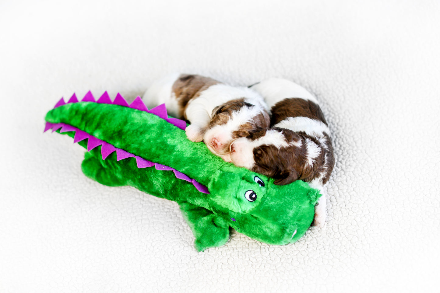 Zippy Paws Grunterz Plush Dog Toys - Alvin the Alligator