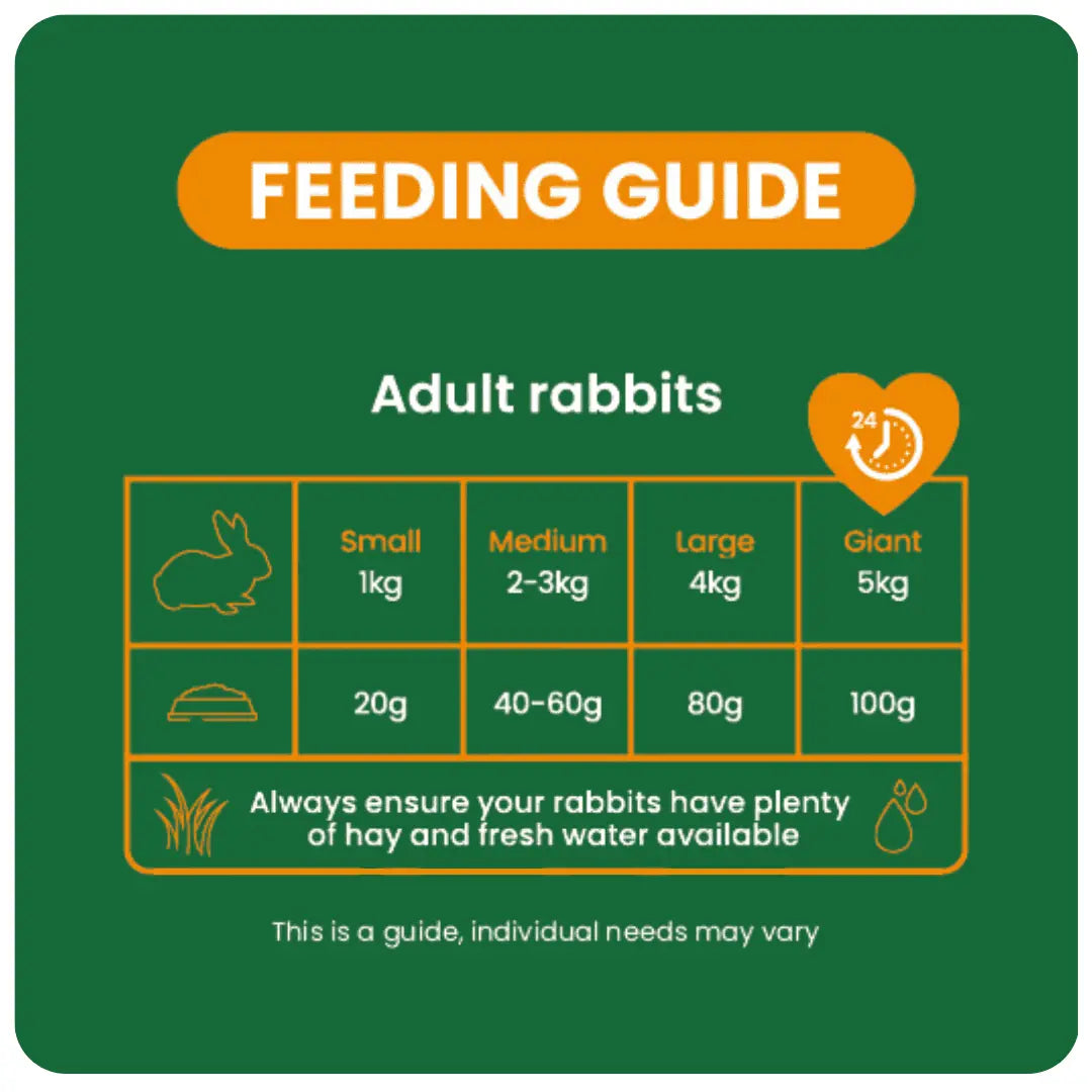 Burgess Excel Indoor Rabbit Nuggets 1.5Kg
