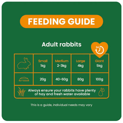 Burgess Excel Indoor Rabbit Nuggets 1.5Kg