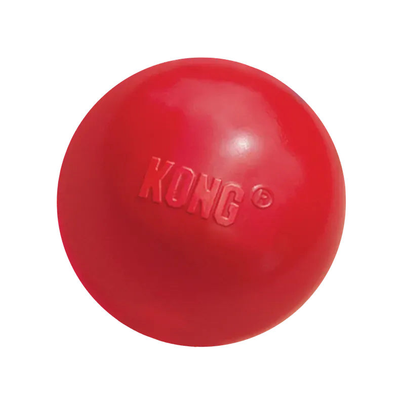 Kong Ball With Hole Large