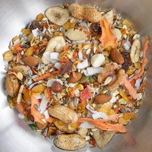 Birdzone – Large Parrot Blend