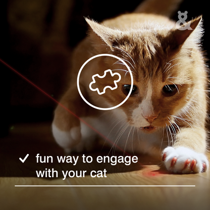 Rufus And Coco Laser Cat Toy