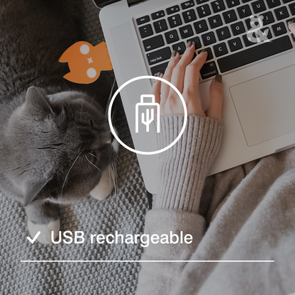 Rufus And Coco Laser Cat Toy