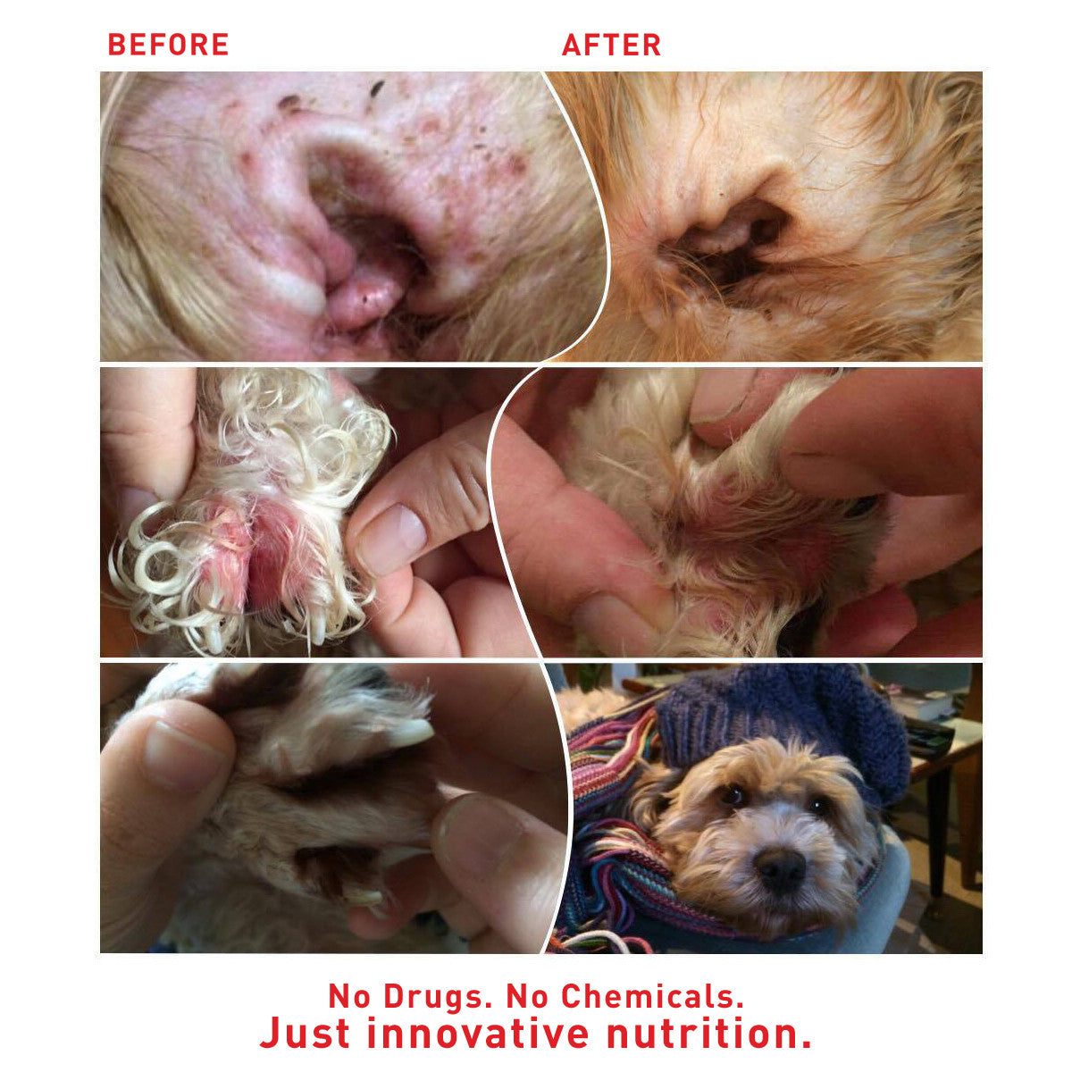 Augustine Approved Faith'S Cleanse & Detox