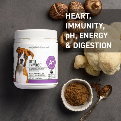 Augustine Approved Little Universe (Canine)