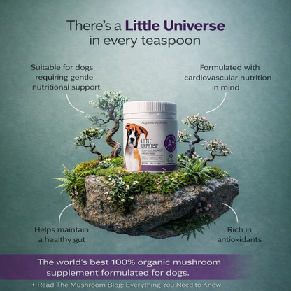 Augustine Approved Little Universe (Canine) 250G