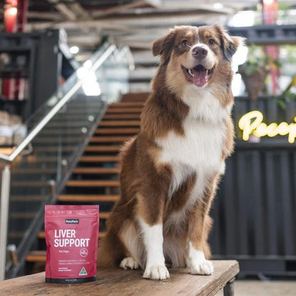PetzPark – Liver Support – For Dogs