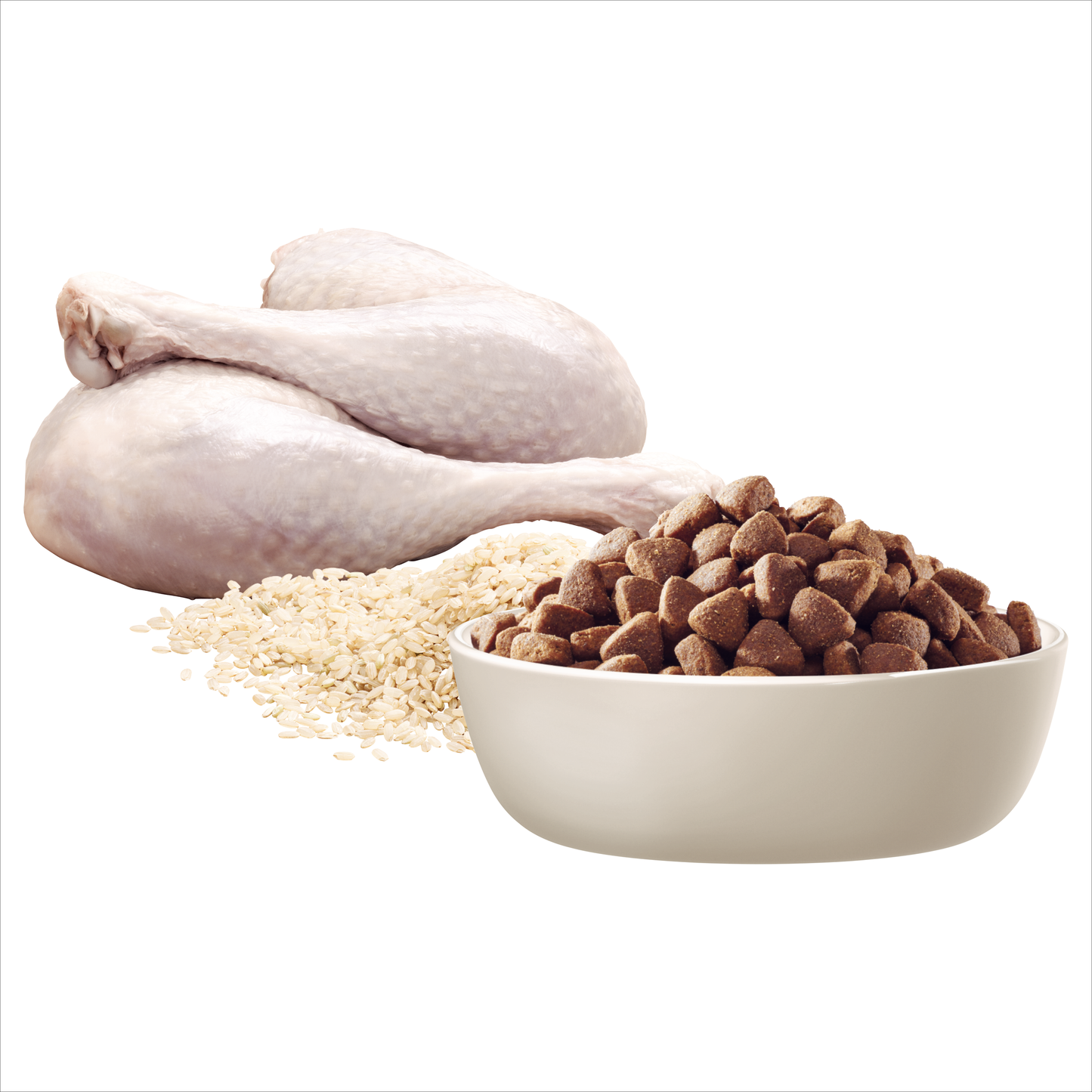 Advance – Adult Dog – Small Oodles - Turkey with Rice