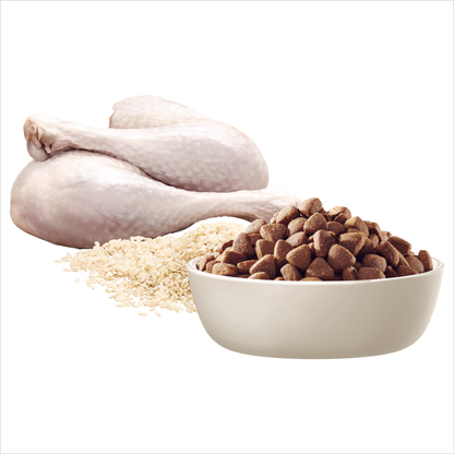 Advance – Adult Dog – Small Oodles - Turkey with Rice