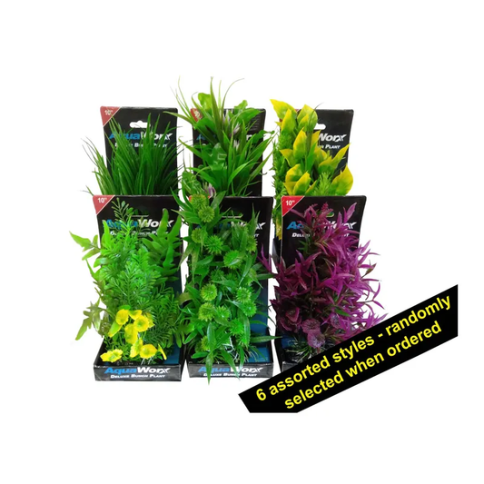 Boyu Deluxe Bunch Plant 10 Inch