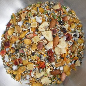 Birdzone – Medium Parrot Blend