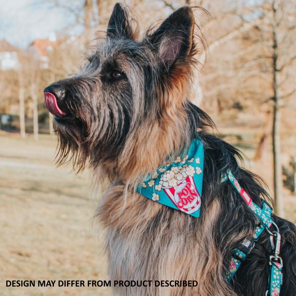 Max & Molly Bandana for Cats & Dogs - Black Sheep