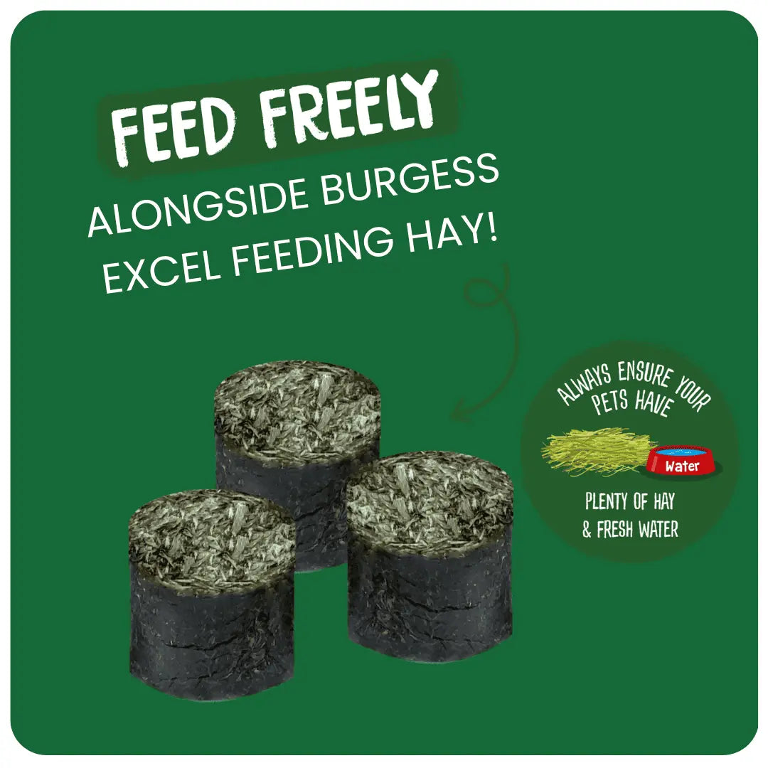 Burgess Excel – Nature Snacks – Meadow Munchies