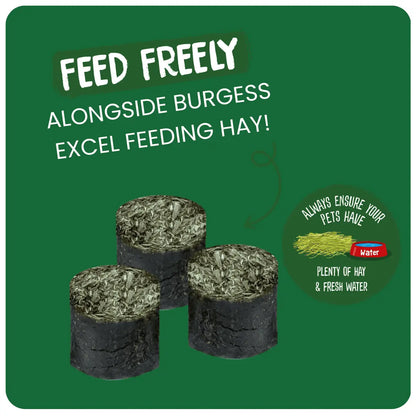 Burgess Excel – Nature Snacks – Meadow Munchies