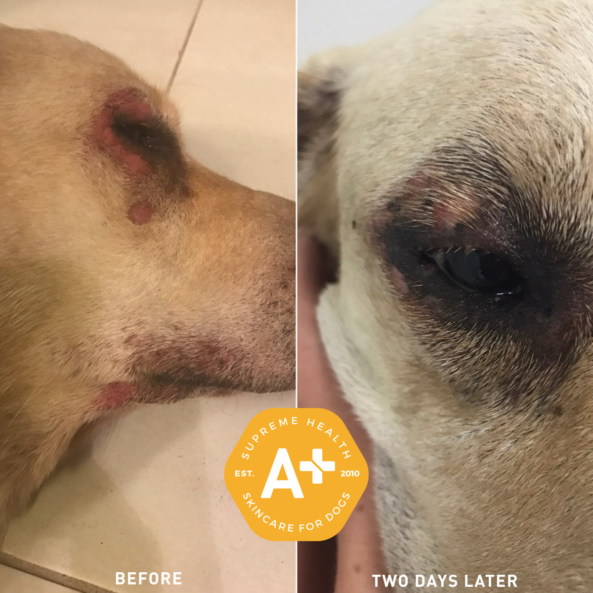 Augustine Approved Augustine'S Superbath 60G