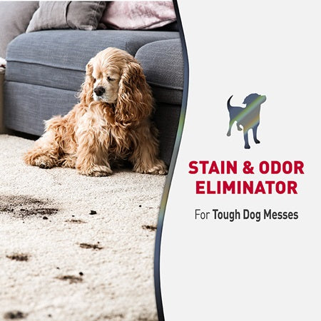 Nature’s Miracle – Advanced Stain & Odor Eliminator (Dog)