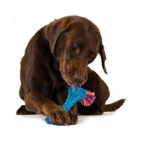 Petstages - Orka Bone