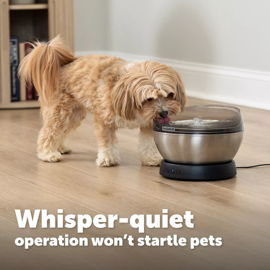 PetSafe – HydroSphere 1.7L Stainless Steel Fountain - encouraging them to drink and stay better hydrated