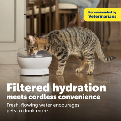 PetSafe – HydroSphere 1.7L Cordless Fountain - Encourages pets to drink more with quietly flowing water