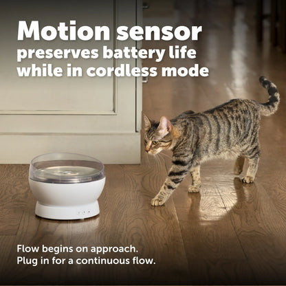 PetSafe – HydroSphere 1.7L Cordless Fountain - Encourages pets to drink more with quietly flowing water