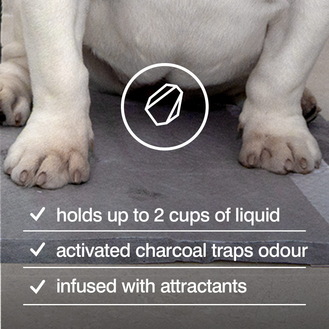 Rufus And Coco Posh Pee Pads