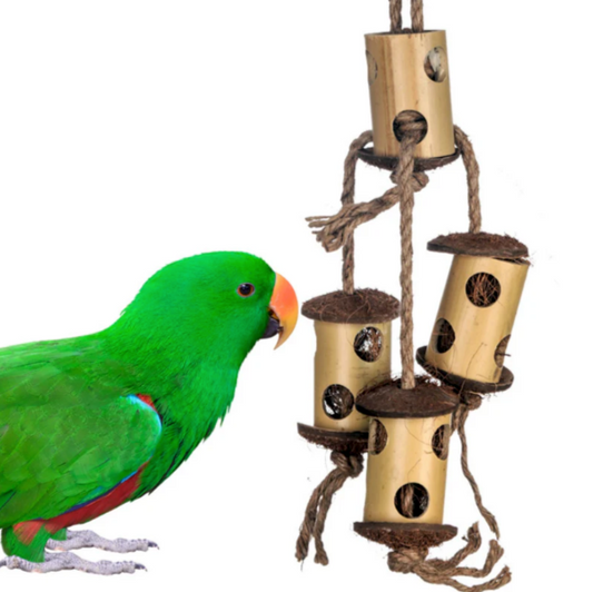 Beak Joy Bamboo Climber