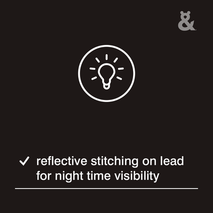 Rufus & Coco Retractable Dog Lead