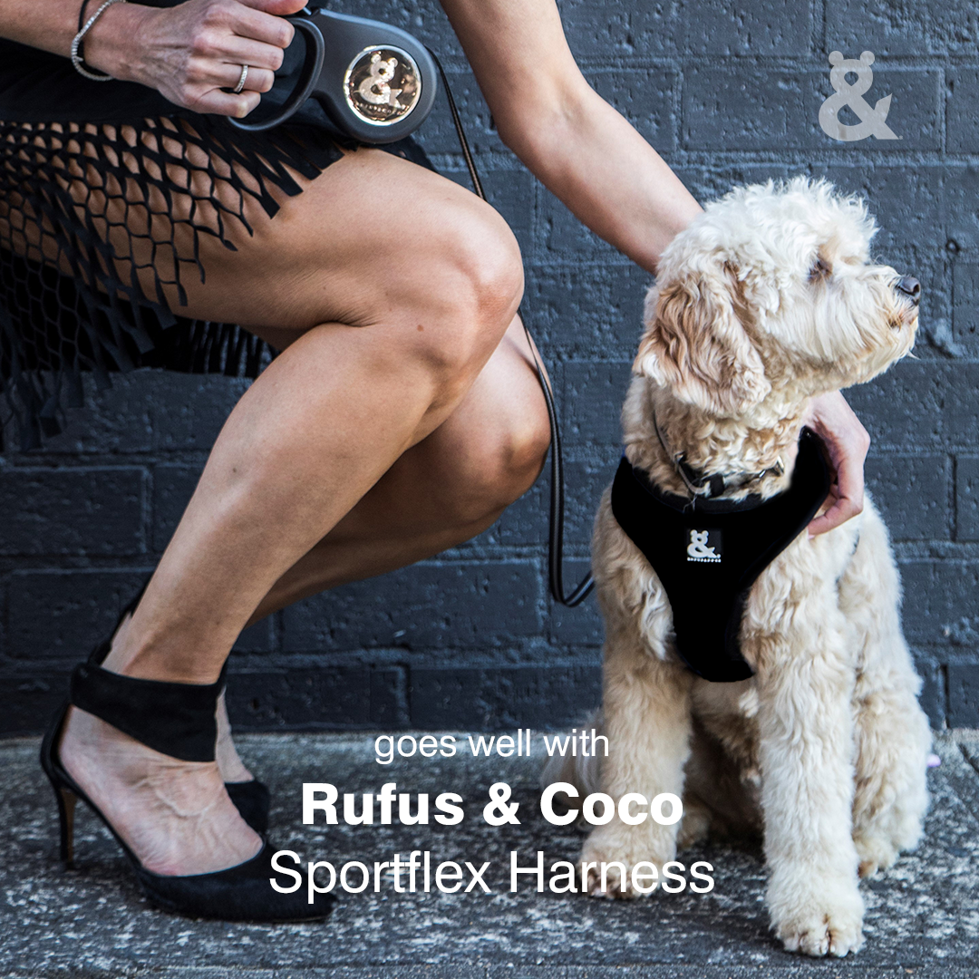 Rufus & Coco Retractable Dog Lead