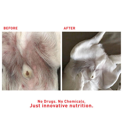 Augustine Approved Faith'S Cleanse & Detox 260G