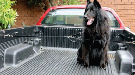 Beau Pets 4WD Restraint