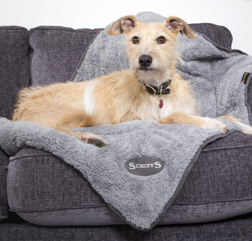 Scruffs – Cosy Blanket – Grey