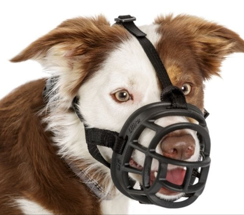 Company of Animals – Baskerville Ultra Muzzle