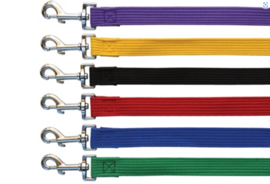 Beau Pets – Cotton Webbing Lead's