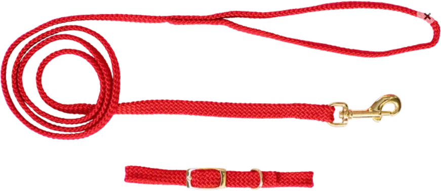 Beau Pets – Puppy – Collar & Lead Set – Nylon
